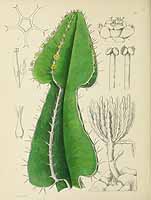 no HD illustration available (5) 