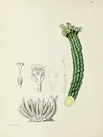 no HD illustration available (5) 