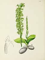 no HD illustration available (5) 