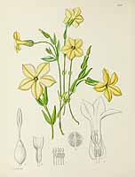 no HD illustration available (5) 