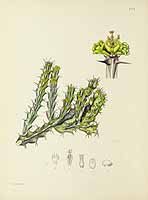 no HD illustration available (5) 