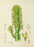 no HD illustration available (5) 