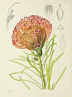 no HD illustration available (5) 