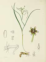 no HD illustration available (5) 