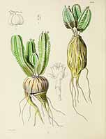 no HD illustration available (5) 