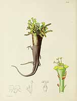 no HD illustration available (5) 