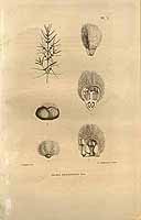  no thumbnail available