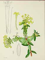 no HD illustration available (5) 