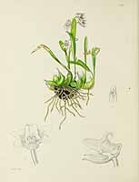 no HD illustration available (5) 