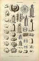  no thumbnail available