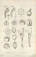  no thumbnail available