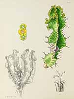 no HD illustration available (5) 