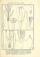  no thumbnail available