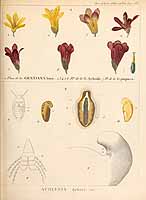  no thumbnail available