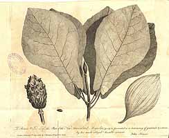  no thumbnail available