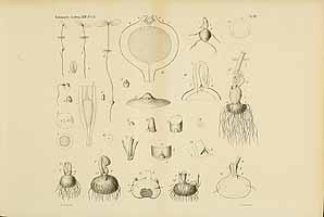  no thumbnail available