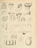  no thumbnail available