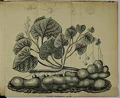  no thumbnail available