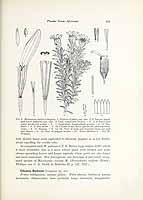  no thumbnail available