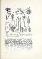  no thumbnail available