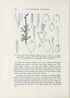  no thumbnail available