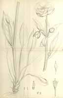  no thumbnail available