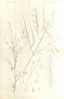  no thumbnail available