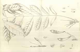  no thumbnail available