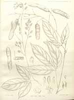  no thumbnail available