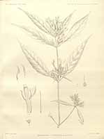  no thumbnail available