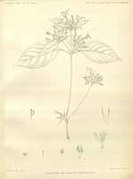  no thumbnail available