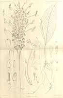  no thumbnail available