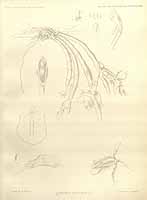  no thumbnail available