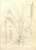  no thumbnail available