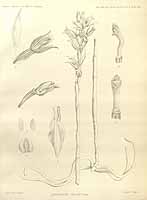  no thumbnail available