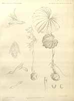  no thumbnail available