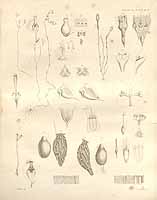  no thumbnail available