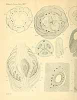  no thumbnail available