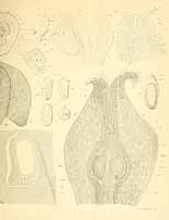  no thumbnail available