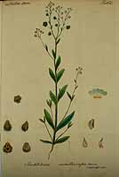  no thumbnail available