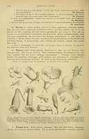  no thumbnail available