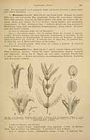  no thumbnail available