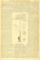  no thumbnail available