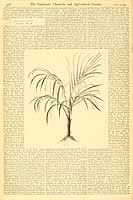  no thumbnail available