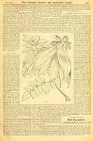  no thumbnail available