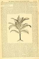  no thumbnail available