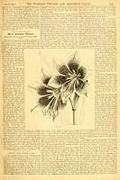  no thumbnail available