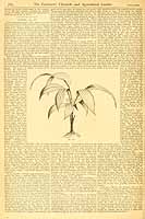  no thumbnail available