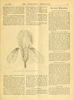  no thumbnail available