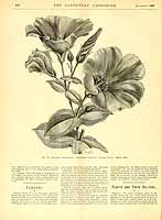  no thumbnail available